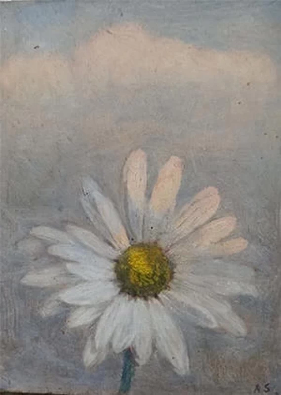 La margherita